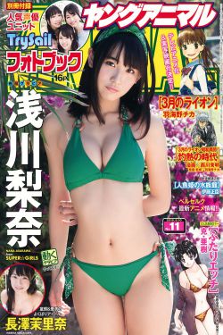 我的世界网易版