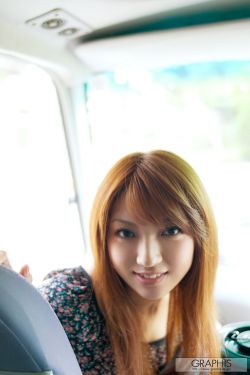 盒子里的猫综艺免费播放