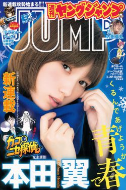 夫郎家的赘婿首辅